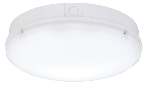 Endon modern kültéri spotlámpa forca cct fehér opál end77898 IP65