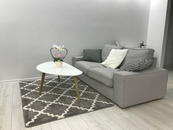 Sketch szőnyeg - F343 szürke / fehér Lóhere Marokkói Trellis