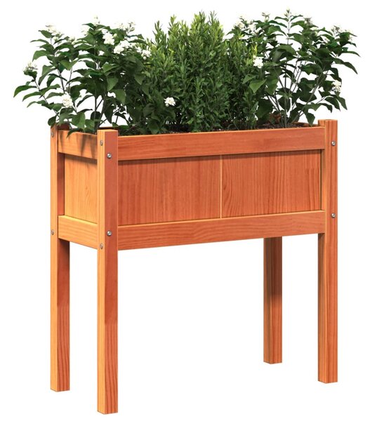 Viaszbarna tömör fenyőfa kerti virágláda 70 x 31 x 70 cm