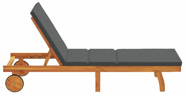 VidaXL Napozóágy Barna, Sötétszürke