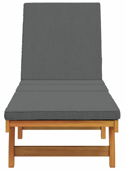 VidaXL Napozóágy Barna, Sötétszürke