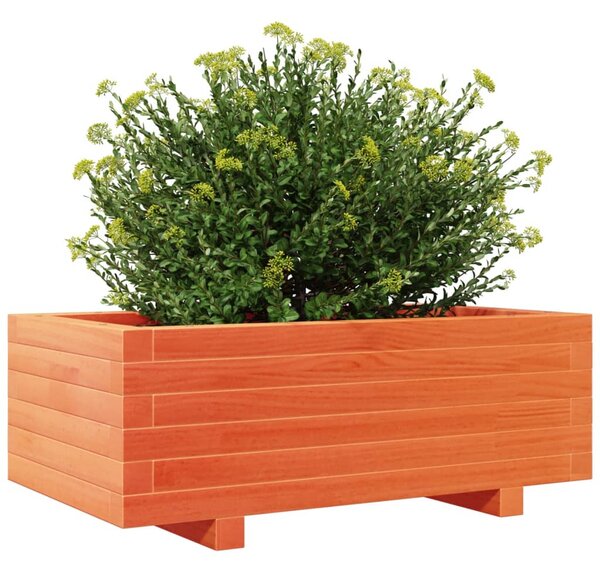 Viaszbarna tömör fenyőfa kerti virágláda 70x40x26,5 cm