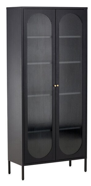 Könyvespolc Dallas 4410, Ajtókkal, Zárt, Üveg, Fém, 180x80x35cm, Fekete