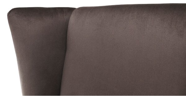 Fotel-füles, taupe-szürke-barna/bükk, RODEZA
