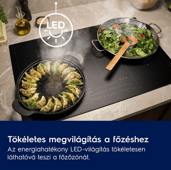 Electrolux LFG525S OptiSpace 500 ExtractionTech páraelszívó