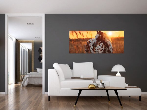 Kép - Ló naplementében (120x50 cm)