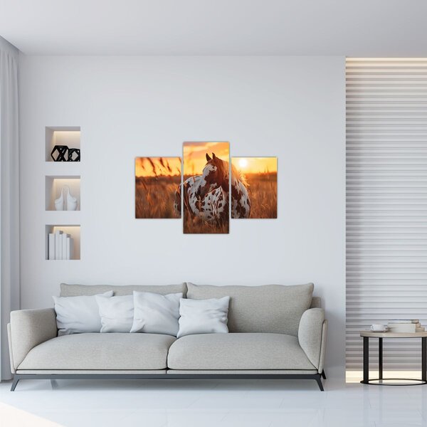 Kép - Ló naplementében (90x60 cm)