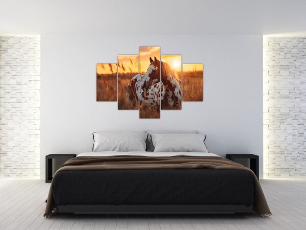 Kép - Ló naplementében (150x105 cm)