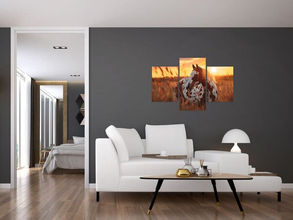 Kép - Ló naplementében (90x60 cm)