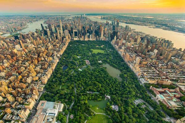 Nem szőtt fotótapéta new york central park 375 x 250 cm