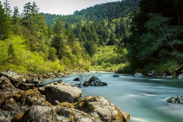 Nem szőtt fotótapéta smith river, kalifornia 375 x 250 cm