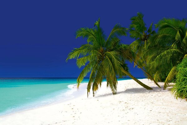 Nem szőtt fotótapéta baa atoll 375 x 250 cm