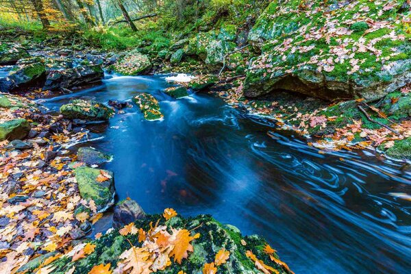 Nem szőtt fotótapéta őszi torrentek 375 x 250 cm
