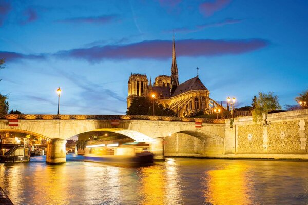 Nem szőtt fotótapéta notre-dame iii. 375 x 250 cm