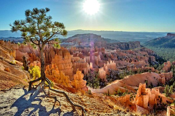 Nem szőtt fotótapéta bryce canyon nemzeti park 375 x 250 cm