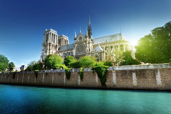 Nem szőtt fotótapéta notre-dame ii. 375 x 250 cm