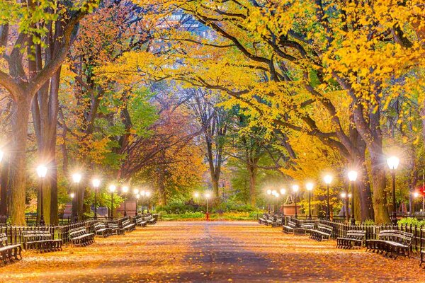 Nem szőtt fotótapéta central park ősszel 375 x 250 cm