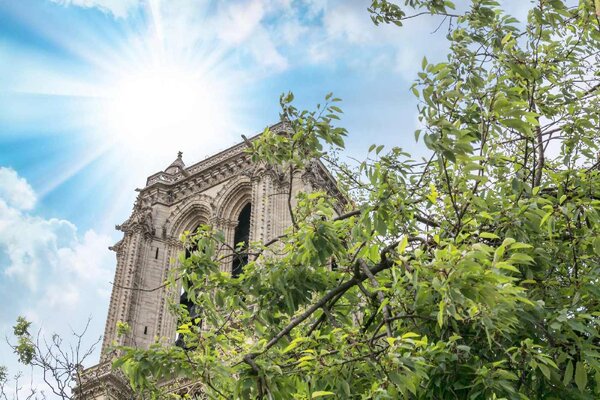 Nem szőtt fotótapéta notre dame 375 x 250 cm