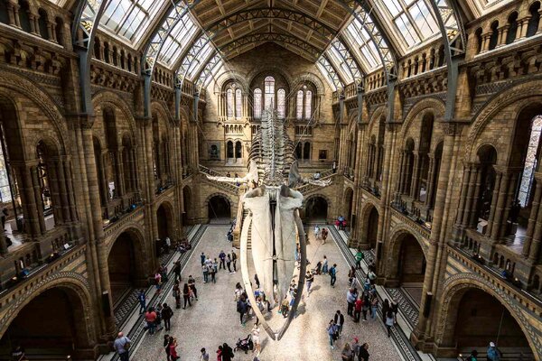 Nem szőtt fotótapéta hintze hall, london 375 x 250 cm