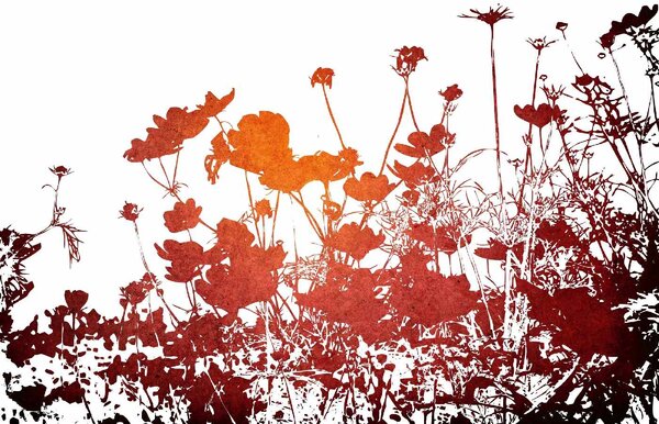Nem szőtt fotótapéta virágos textúra 375 x 250 cm