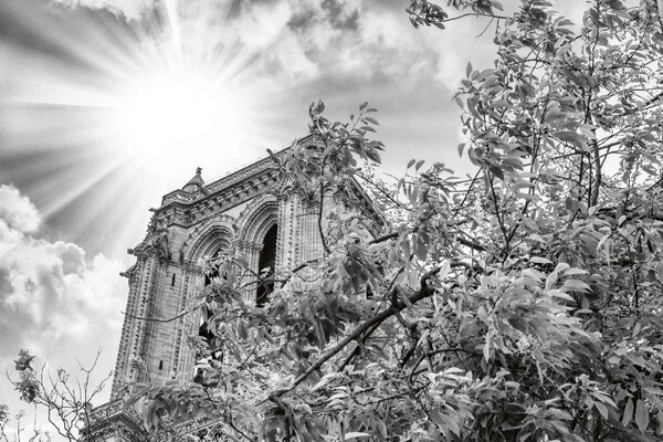 Nem szőtt fotótapéta notre dame részletek 375 x 250 cm
