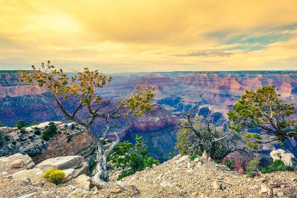 Nem szőtt fotótapéta reggel a grand canyonban 375 x 250 cm