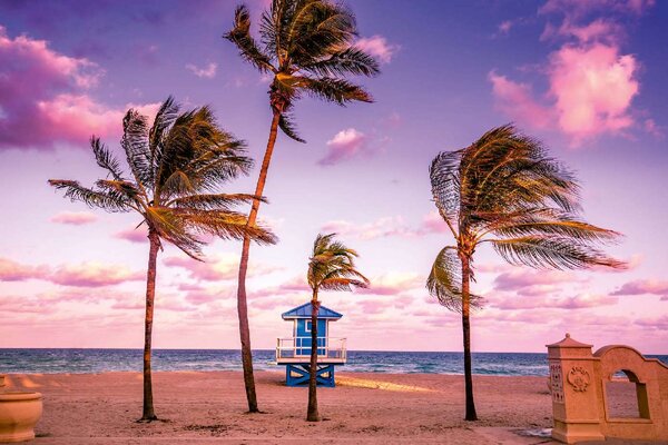 Nem szőtt fotótapéta hollywood beach 375 x 250 cm