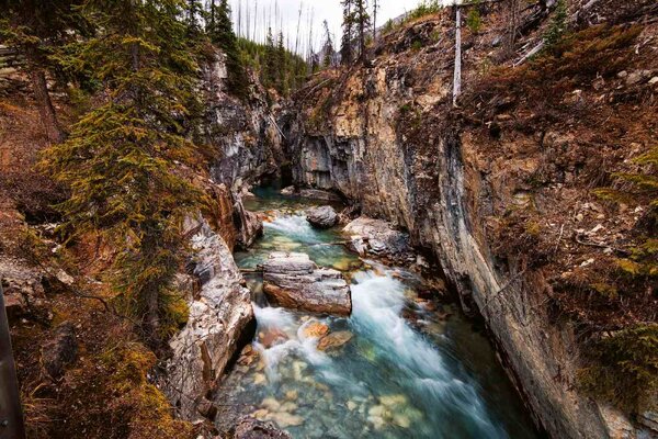 Nem szőtt fotótapéta folyó a kootenayben 375 x 250 cm