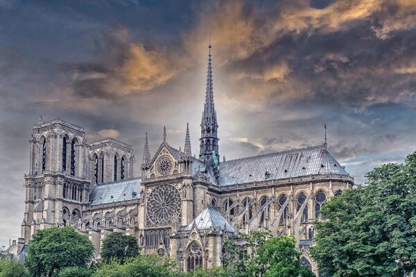 Nem szőtt fotótapéta a notre dame ii. 375 x 250 cm