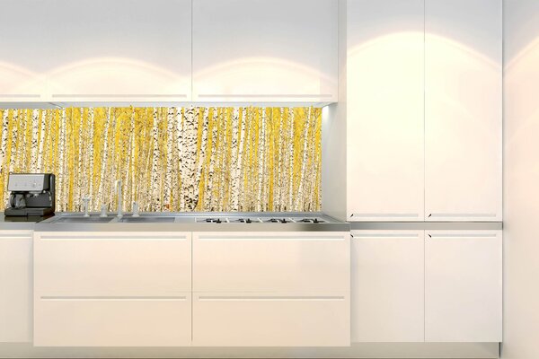 Konyhai fotótapéta - sárga nyírfaliget 180 x 60 cm
