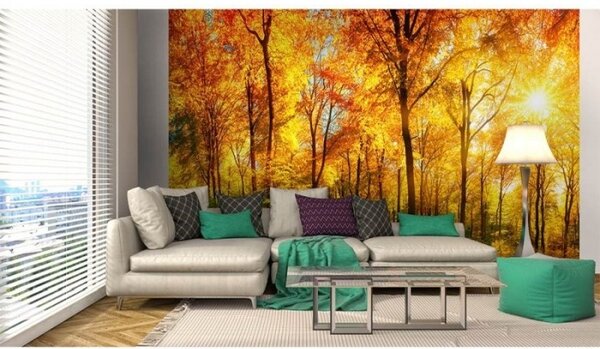Nem szőtt fotótapéta napos erdő 375 x 250 cm