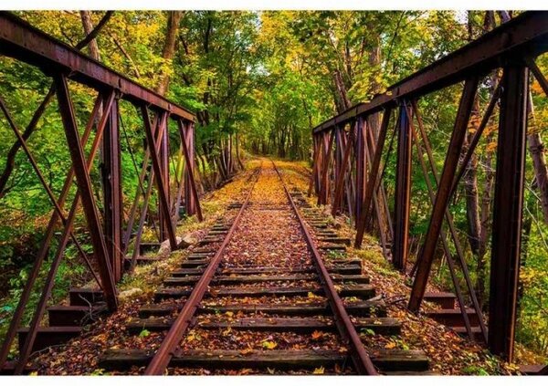 Nem szőtt fotótapéta vasút az erdőben 375 x 250 cm