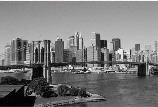Nem szőtt fotótapéta manhattan szürke színben 375 x 250 cm