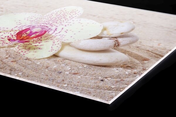 Plexi a konyhapult mögött zen kert - 80 x 40 cm