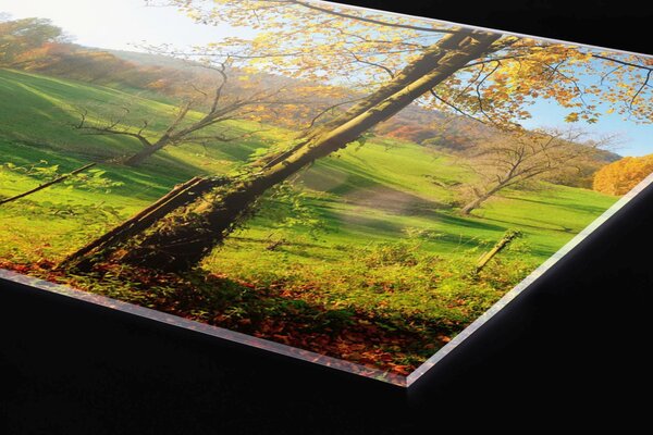 Plexi a konyhapult mögött rét - 80 x 40 cm