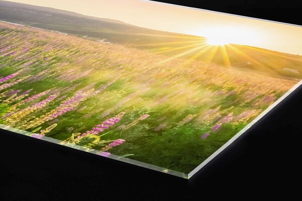 Plexi a konyhapult mögött naplemente a réten - 60 x 40 cm