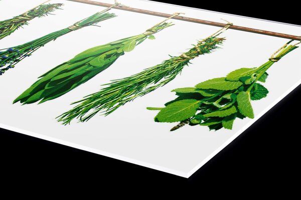 Plexi a konyhapult mögött gyógynövények - 80 x 40 cm