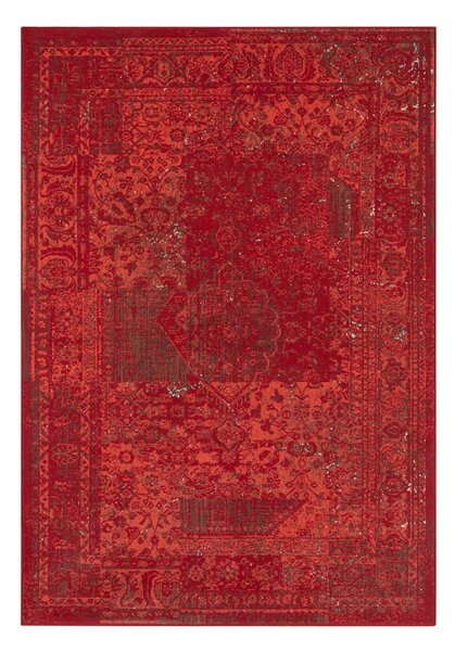 Celebration Plume piros szőnyeg, 200 x 290 cm - Hanse Home