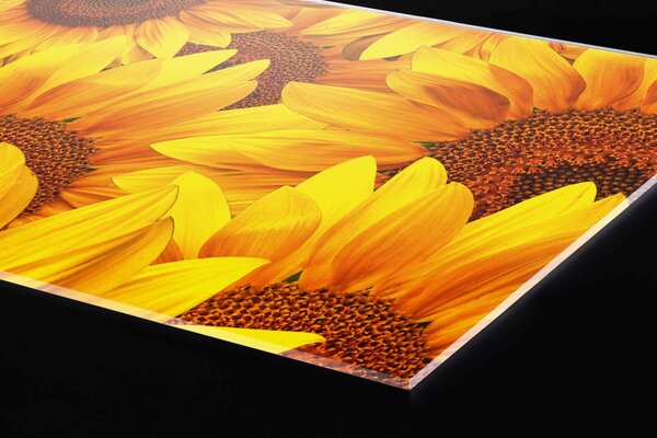 Plexi a konyhapult mögött napraforgó - 240 x 60 cm