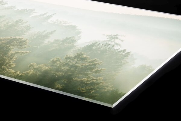 Plexi a konyhapult mögött a nap sugarai az erdő felett - 60 x 60 cm