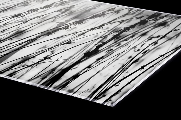 Plexi a konyhapult mögött fekete-fehér fű - 60 x 60 cm