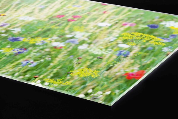 Plexi a konyhapult mögött virágos rét - 60 x 60 cm