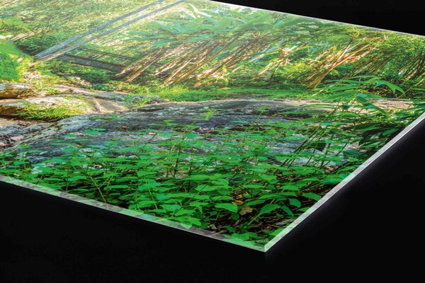 Plexi a konyhapult mögött botanikus kert - 60 x 60 cm