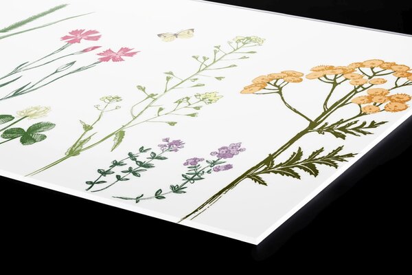Plexi a konyhapult mögött rajz a herbáriumból - 240 x 60 cm
