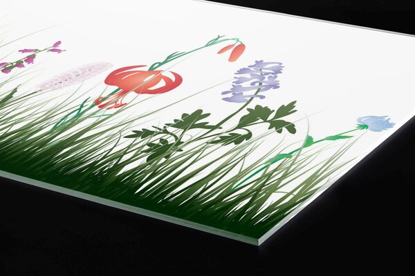 Plexi a konyhapult mögött réti kialakítás - 180 x 60 cm