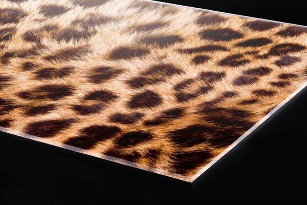 Plexi a konyhapult mögött leopárd bőr - 60 x 60 cm