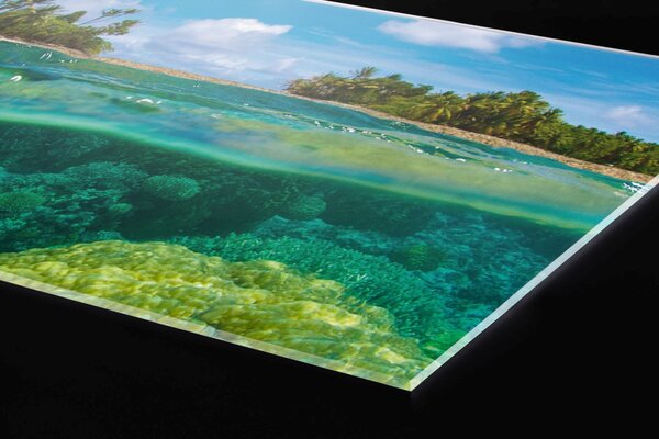 Plexi a konyhapult mögött korallzátony - 60 x 60 cm