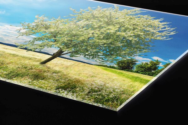 Plexi a konyhapult mögött egy fa a réten - 60 x 60 cm