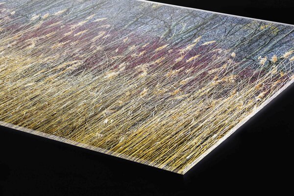 Plexi a konyhapult mögött téli nád - 100 x 60 cm