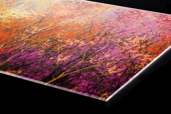 Plexi a konyhapult mögött színes virágos háttér - 60 x 60 cm